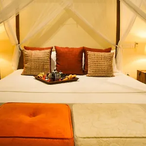 https://urban-bliss-studio.negombohotels.net